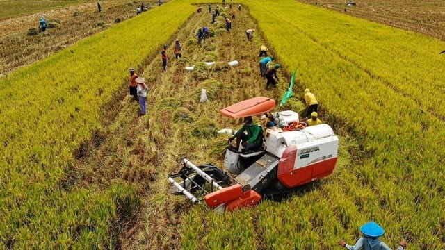 Partai X Dorong Transparansi dan Efisiensi dalam Kebijakan Swasembada dan Hilirisasi Pangan